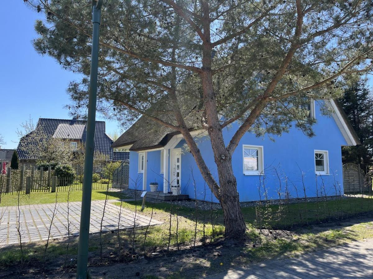 Ferienhaus De Niege Leive 博恩 外观 照片